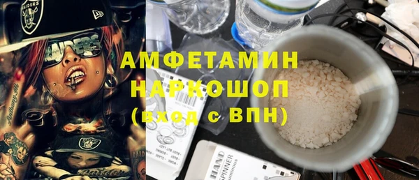стафф Бердск